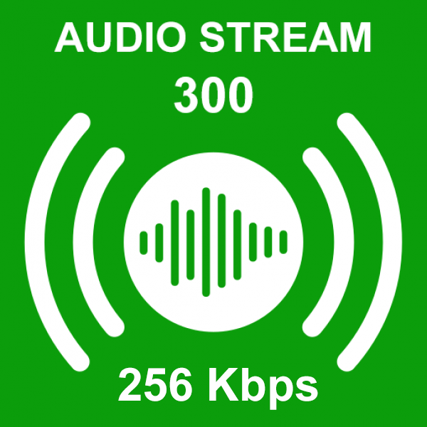 Audio Stream 300