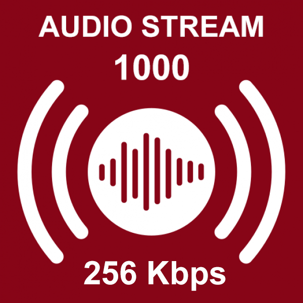 Audio Stream 1000
